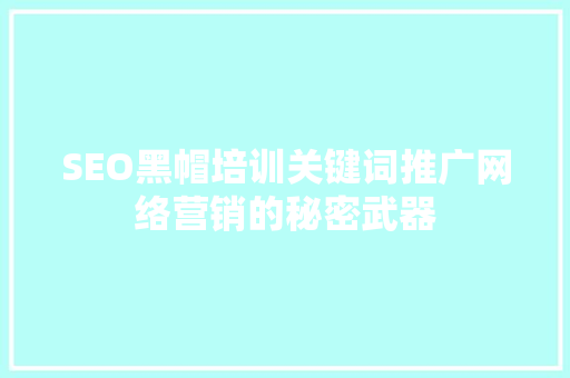 SEO黑帽培训关键词推广网络营销的秘密武器