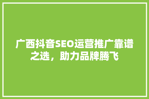 广西抖音SEO运营推广靠谱之选，助力品牌腾飞