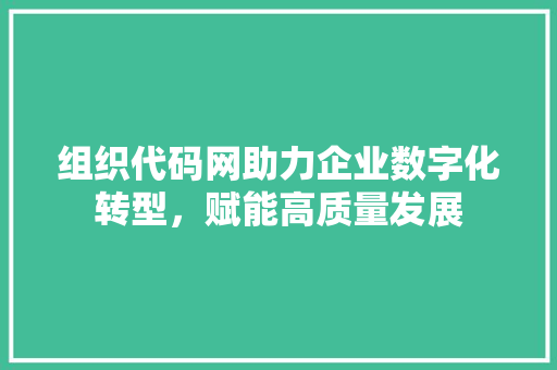 组织代码网助力企业数字化转型，赋能高质量发展
