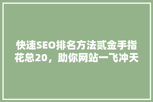 快速SEO排名方法贰金手指花总20，助你网站一飞冲天