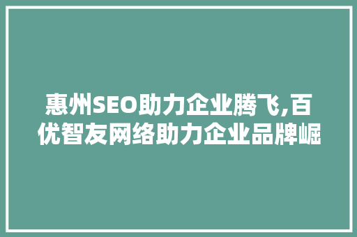惠州SEO助力企业腾飞,百优智友网络助力企业品牌崛起之路