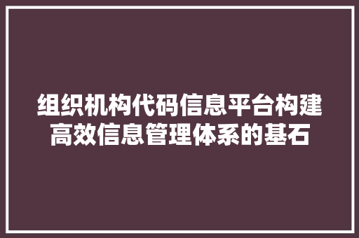 组织机构代码信息平台构建高效信息管理体系的基石