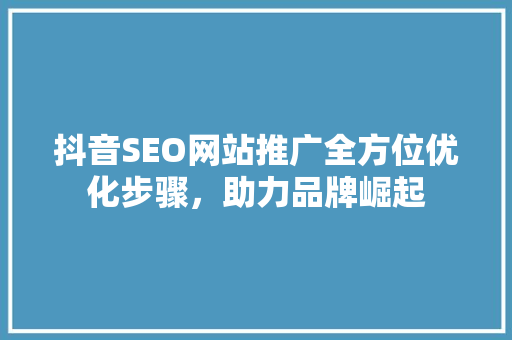 抖音SEO网站推广全方位优化步骤，助力品牌崛起