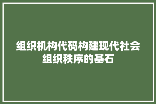 组织机构代码构建现代社会组织秩序的基石