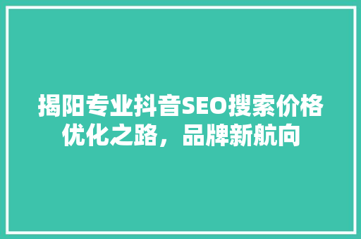 揭阳专业抖音SEO搜索价格优化之路，品牌新航向