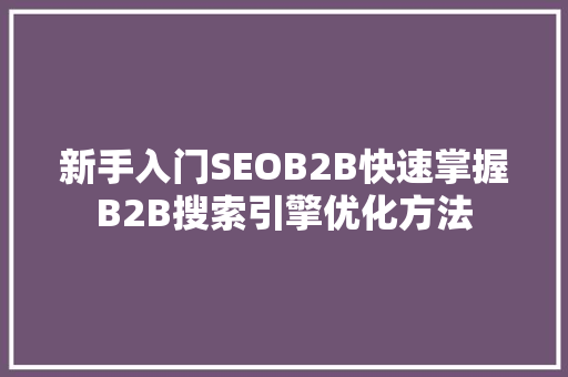 新手入门SEOB2B快速掌握B2B搜索引擎优化方法