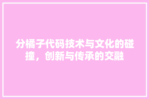 分橘子代码技术与文化的碰撞，创新与传承的交融