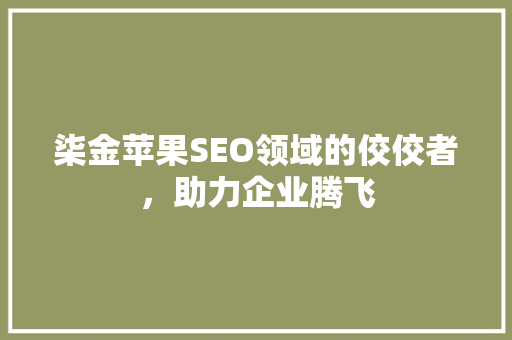 柒金苹果SEO领域的佼佼者，助力企业腾飞