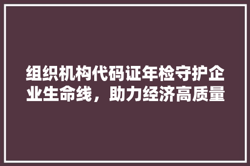 组织机构代码证年检守护企业生命线，助力经济高质量发展