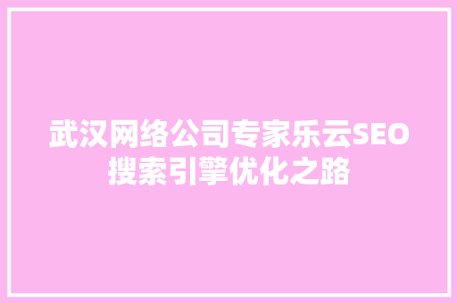 武汉网络公司专家乐云SEO搜索引擎优化之路