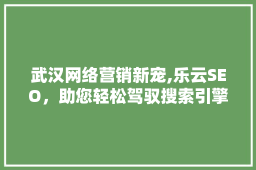 武汉网络营销新宠,乐云SEO，助您轻松驾驭搜索引擎排名