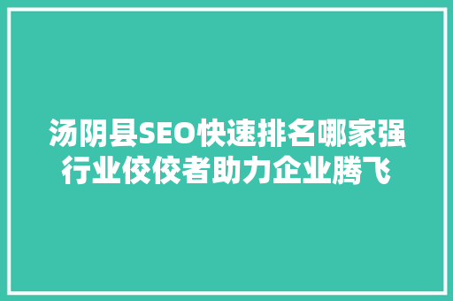 汤阴县SEO快速排名哪家强行业佼佼者助力企业腾飞