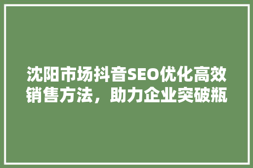沈阳市场抖音SEO优化高效销售方法，助力企业突破瓶颈