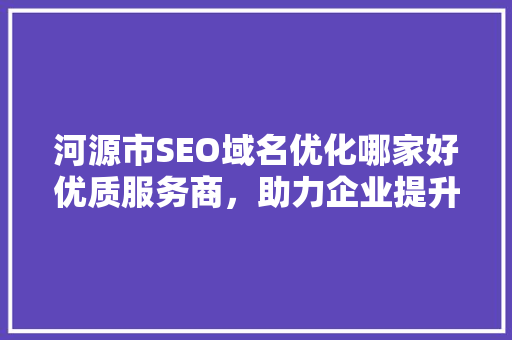 河源市SEO域名优化哪家好优质服务商，助力企业提升网络竞争力