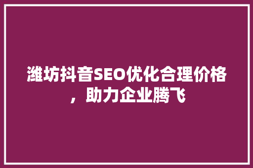 潍坊抖音SEO优化合理价格，助力企业腾飞