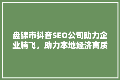 盘锦市抖音SEO公司助力企业腾飞，助力本地经济高质量发展