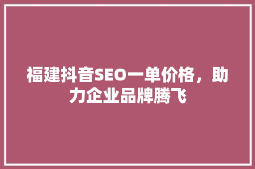 福建抖音SEO一单价格，助力企业品牌腾飞