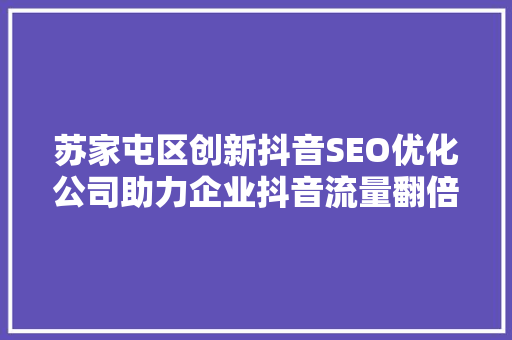 苏家屯区创新抖音SEO优化公司助力企业抖音流量翻倍增长