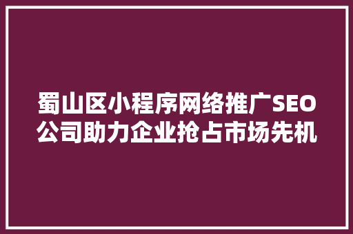 蜀山区小程序网络推广SEO公司助力企业抢占市场先机