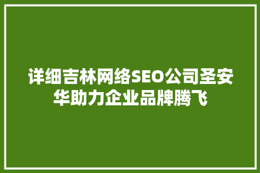 详细吉林网络SEO公司圣安华助力企业品牌腾飞