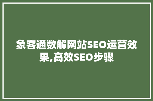 象客通数解网站SEO运营效果,高效SEO步骤