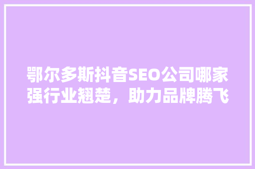 鄂尔多斯抖音SEO公司哪家强行业翘楚，助力品牌腾飞