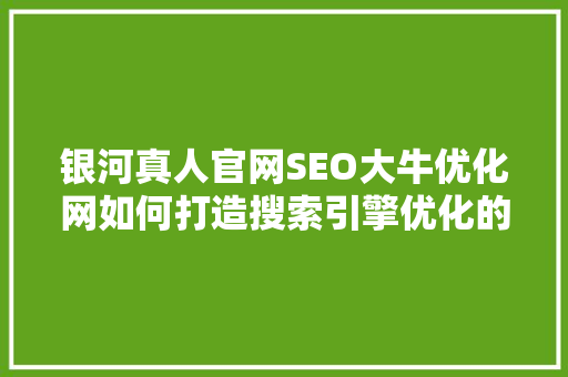 银河真人官网SEO大牛优化网如何打造搜索引擎优化的高手之作