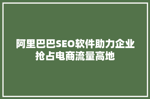 阿里巴巴SEO软件助力企业抢占电商流量高地
