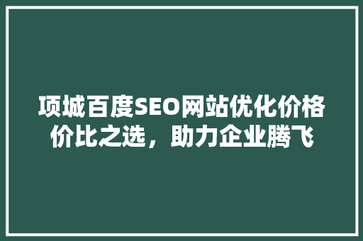 项城百度SEO网站优化价格价比之选，助力企业腾飞