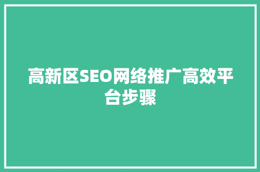 高新区SEO网络推广高效平台步骤