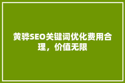 黄骅SEO关键词优化费用合理，价值无限