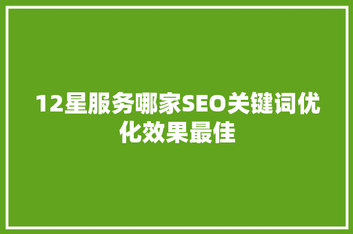 12星服务哪家SEO关键词优化效果最佳