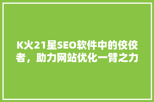 K火21星SEO软件中的佼佼者，助力网站优化一臂之力