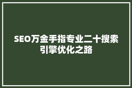 SEO万金手指专业二十搜索引擎优化之路