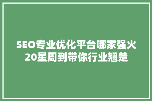 SEO专业优化平台哪家强火20星周到带你行业翘楚