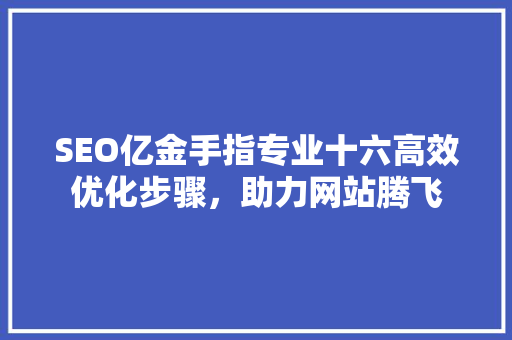 SEO亿金手指专业十六高效优化步骤，助力网站腾飞