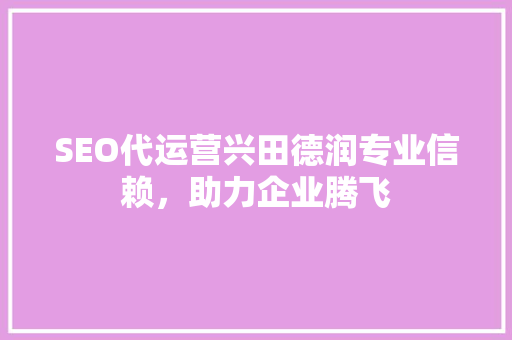 SEO代运营兴田德润专业信赖，助力企业腾飞