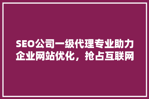 SEO公司一级代理专业助力企业网站优化，抢占互联网市场先机