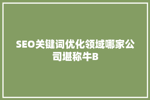 SEO关键词优化领域哪家公司堪称牛B