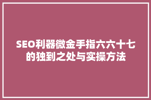 SEO利器微金手指六六十七的独到之处与实操方法