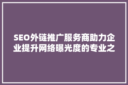 SEO外链推广服务商助力企业提升网络曝光度的专业之路