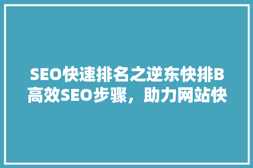 SEO快速排名之逆东快排B高效SEO步骤，助力网站快速崛起