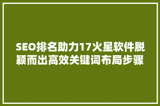 SEO排名助力17火星软件脱颖而出高效关键词布局步骤