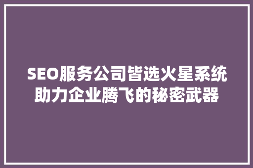 SEO服务公司皆选火星系统助力企业腾飞的秘密武器