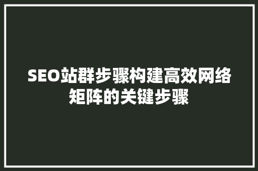 SEO站群步骤构建高效网络矩阵的关键步骤