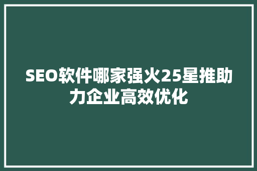 SEO软件哪家强火25星推助力企业高效优化