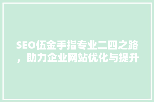 SEO伍金手指专业二四之路，助力企业网站优化与提升