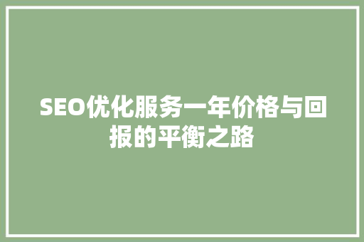 SEO优化服务一年价格与回报的平衡之路  第1张