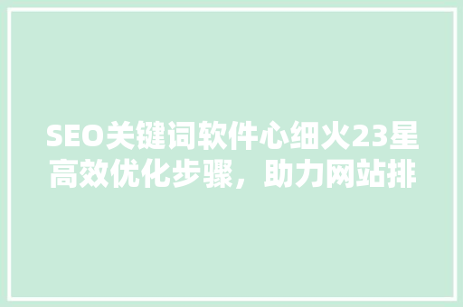 SEO关键词软件心细火23星高效优化步骤，助力网站排名攀升