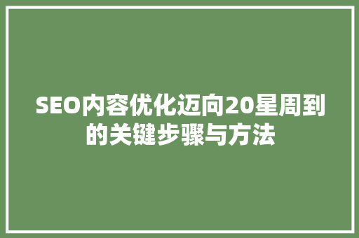 SEO内容优化迈向20星周到的关键步骤与方法  第1张